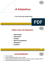 Cellular Adaptions