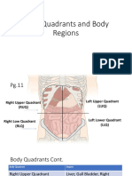 Body Quadrants and Body Regions PDF