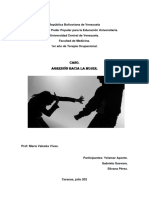 Caso SS PDF N