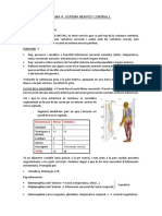 Sistema Nerviós Central I PDF