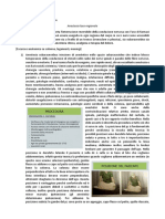 Anestesia Locoregionale - Sbob Maresca PDF