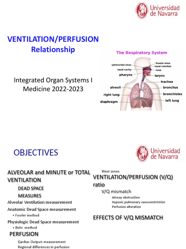 2 VQ Relationship PDF PDF