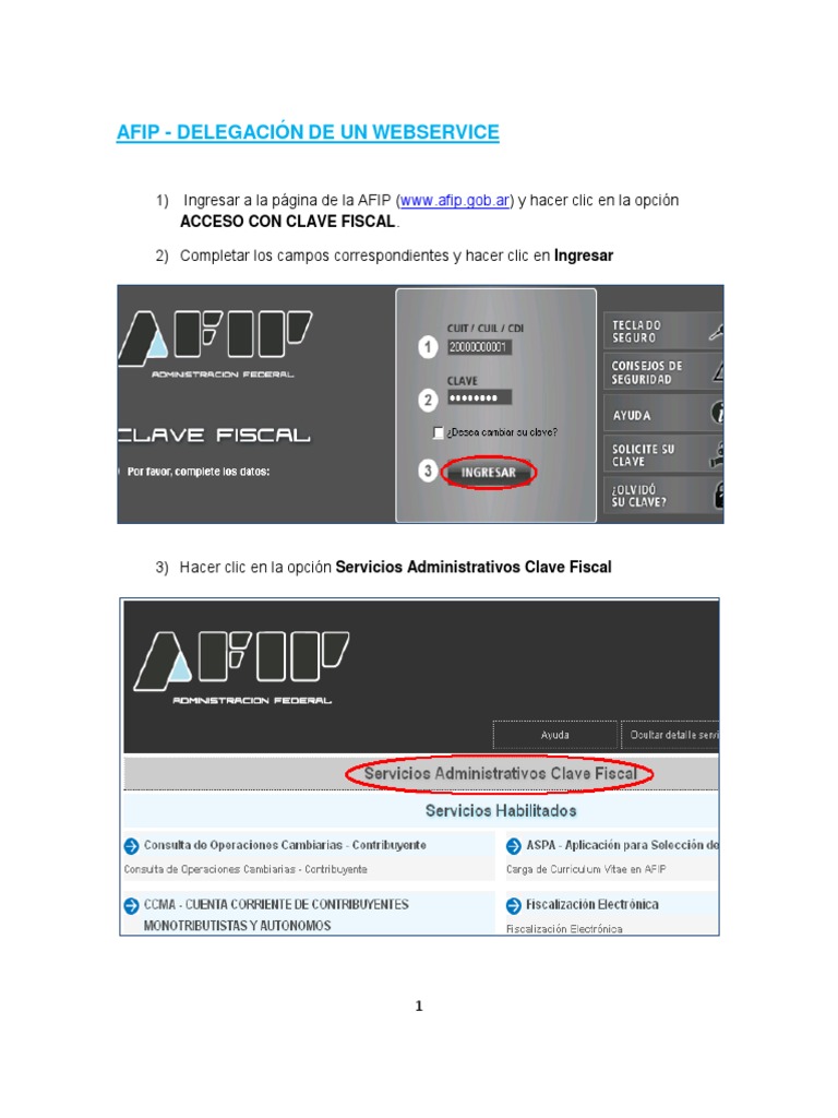 Instructivo AFIP Delegar WebService | PDF | Informática
