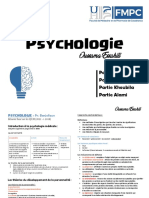 Psychologie - Oussama Essahili PDF