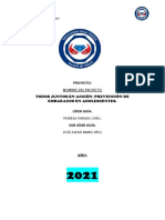 Proyecto Del Embarazo en Adolescentes PDF