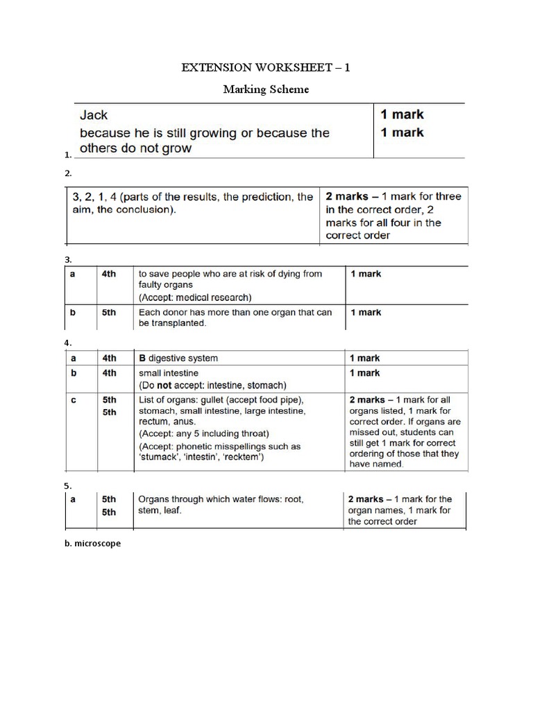 Extension Worksheet1 MS PDF