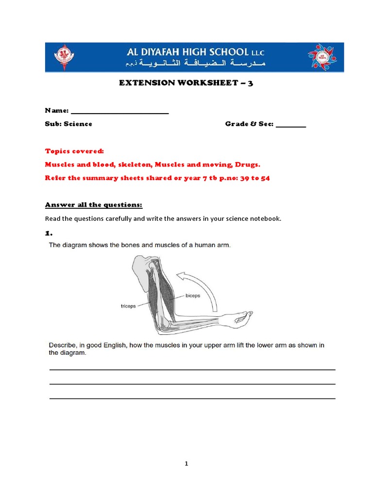 Extension Worksheet 3 PDF