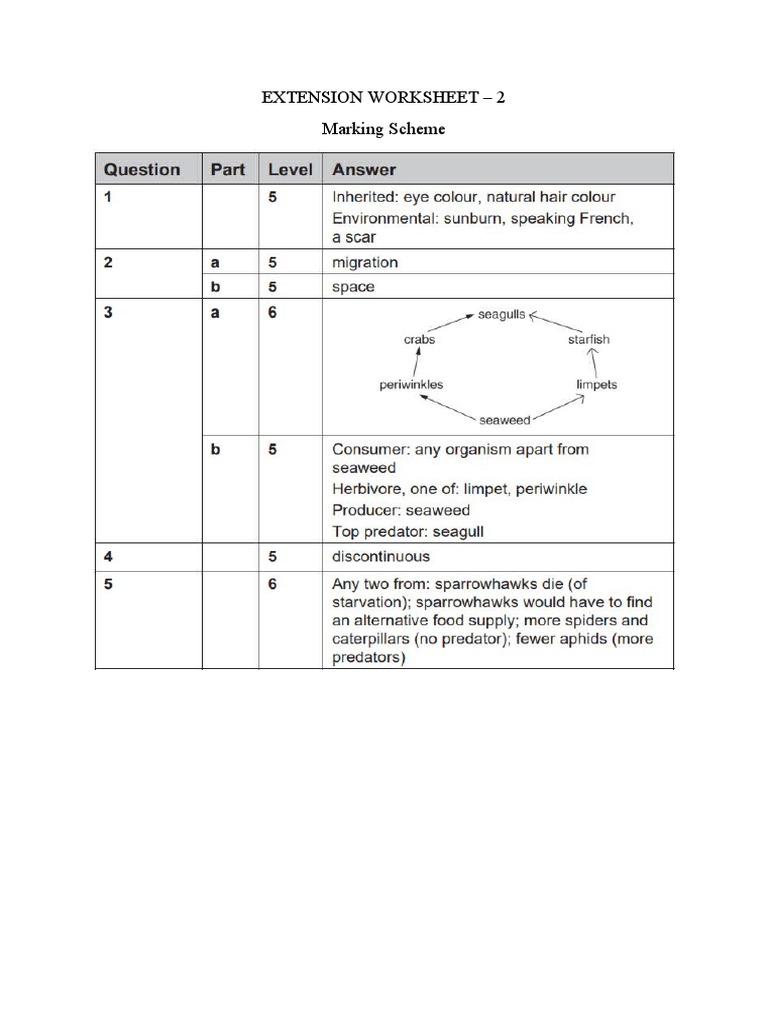 Extension Worksheet-2 MS | PDF