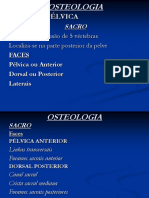 3 (13 - 03) 2° AULA - APARELHO LOCOMOTOR - Osteologia - Tronco