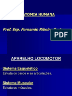 Artrologia Nova PDF