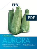 Calabaza Aurora PDF