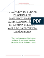 Trabajo Final PDF