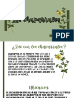 Chaparrales PDF