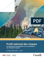 Rapport Du Profil National Des Risques