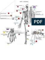 Joints Schematic Picture