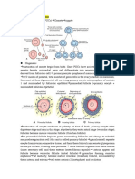 Embryo PDF