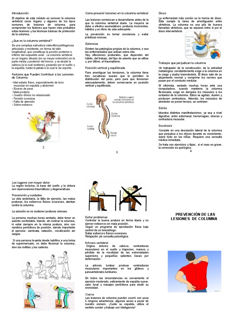 1 Triptico Prevención de Las Lesiones de Columna | PDF | La columna ...