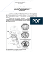 GuíaDidáct - VII 25 LARINGEparesIX X XI ALHOabril2023