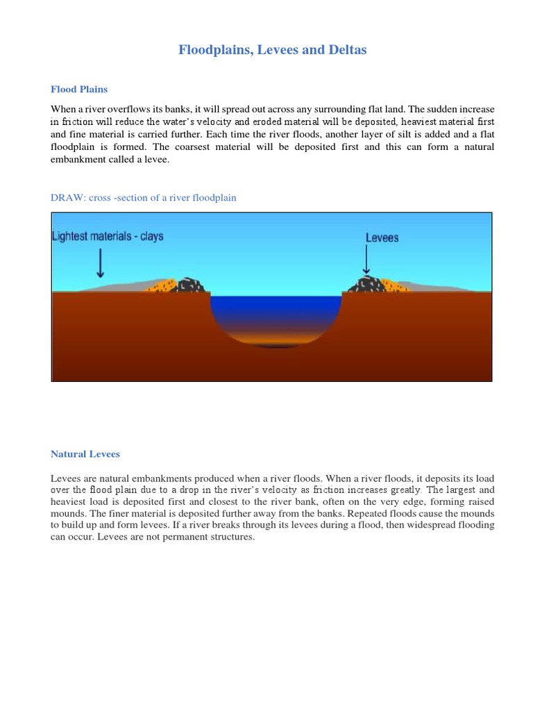 Understanding Levees and Deltas | PDF | River Delta | Levee