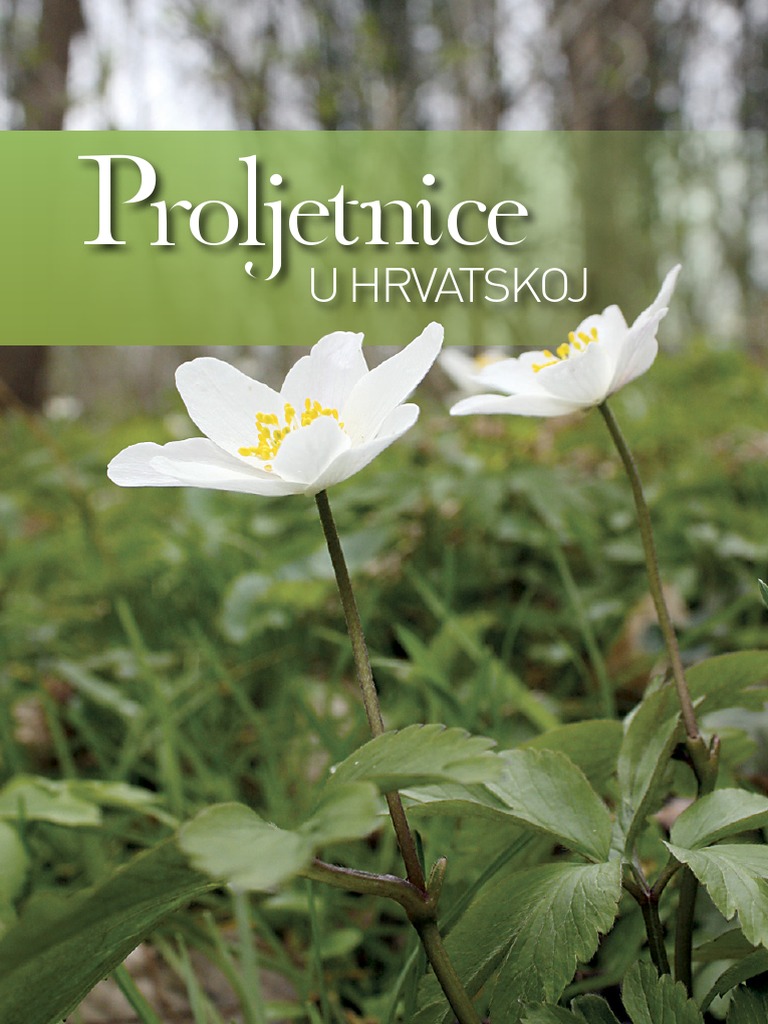 Proljetnice U Hrvatskoj | PDF