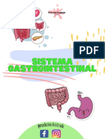 Fichas Sistema Gastrointestinal PDF