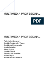 Multimedia Profesional
