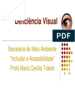 Deficiência Visual: Um guia completo sobre a visão e suas limitações