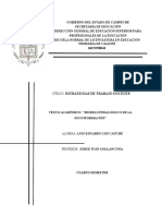 Modelo educativo socioformativo para el desarrollo social