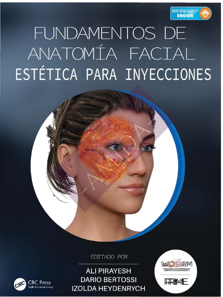 Fundamentos de La Anatomia Facial Estetica para Inyecciones PDF | PDF ...