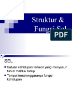 Biologi Sel