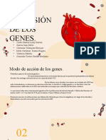 Hypertrophic Cardiomyopathy Disease by Slidesgo