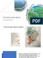 The Amazon Basin (Brazil)