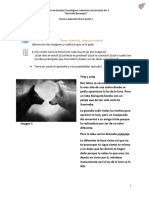 Tarea de Lectura PDF