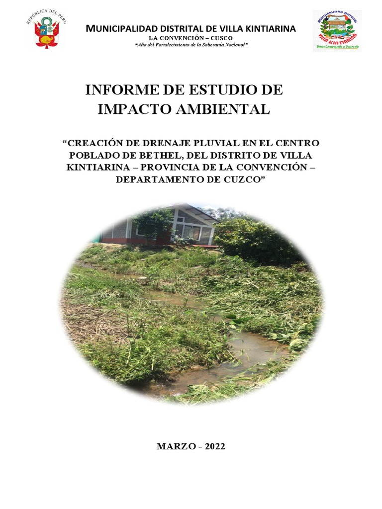 Estudio de Impacto Ambiental: Drenaje Bethel | PDF | Entorno natural | Agua