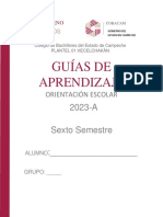 Guia de 6 Semestre