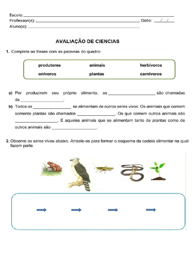 Avaliação de Ciencias 4 Ano | PDF