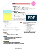 How to identify and treat endocarditis