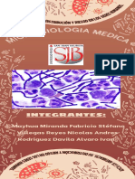 BACILLUS ANTHRACIS Y SU DISTRIBUCIÓN EN HUMANOS