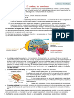 Ficha Ciencia - Ubicamos Nuestras Emociones en El Cerebro PDF
