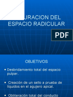 Obturaciòn Espacio Radicular