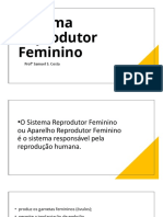 Sistema Reprodutor Feminino