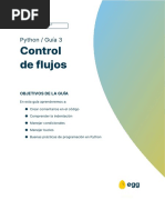 Copia de 3. Control de Flujo