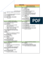 Histologia Anatomia Tejidos