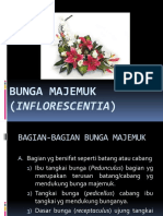 BUNGA MAJEMUK (Inflorescentia)