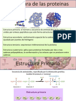 5 - Estructura de Proteinas 20-11-18