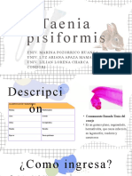 Taenia pisiformis.pptx