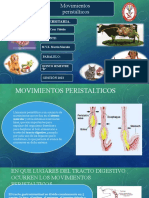 Movimientos Peristalticos Fidelia