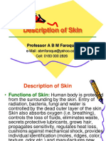Description of Skin