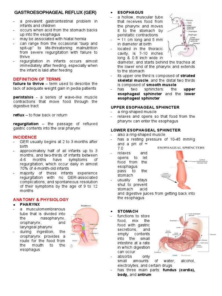 Gerd Diet Patient Handout Pdf _ Gerd Diet Plan – BPJN