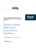 Actividad Glosario Niveles Táctiles